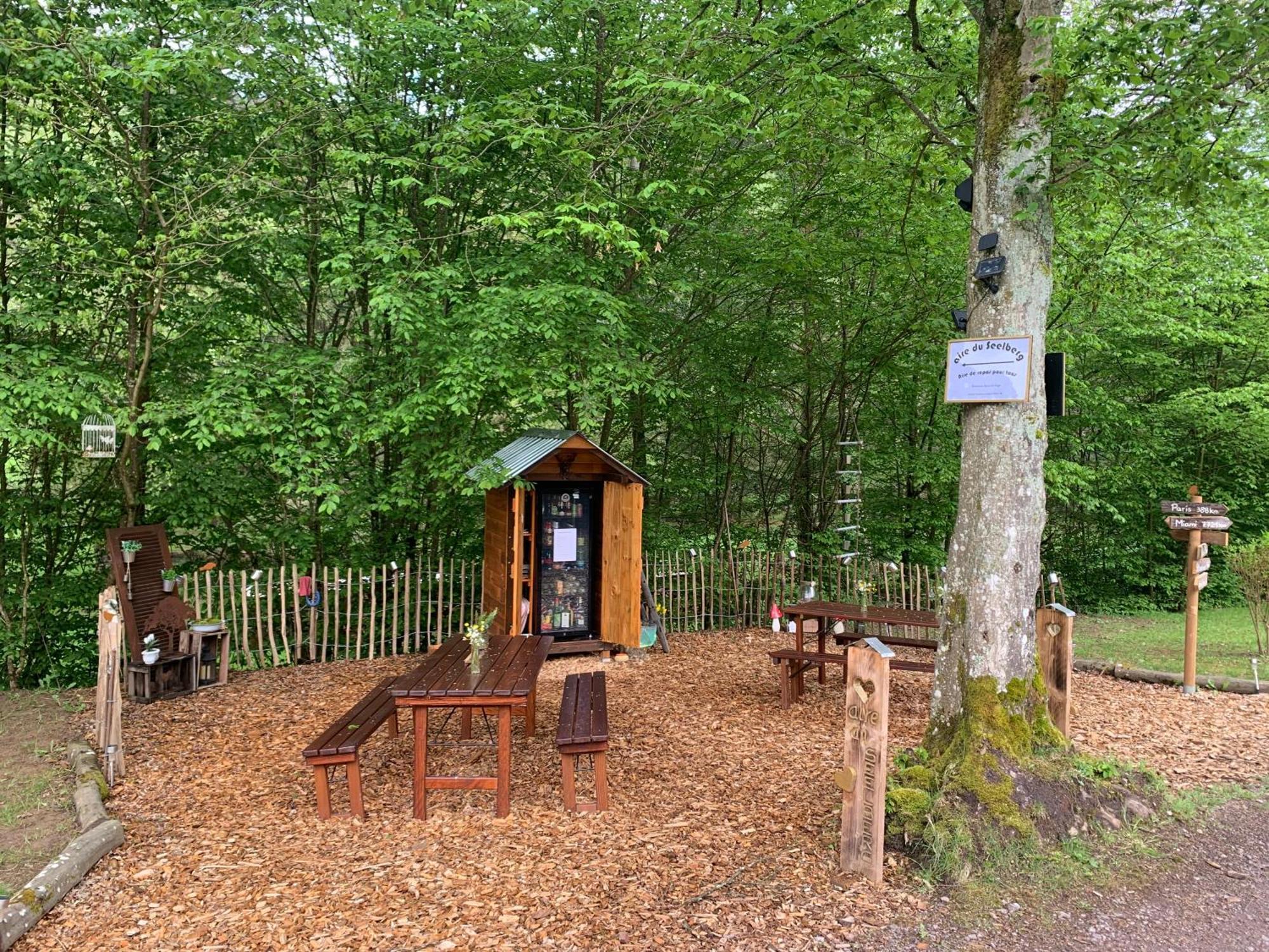 Вілла Le Wineck Dambach Екстер'єр фото