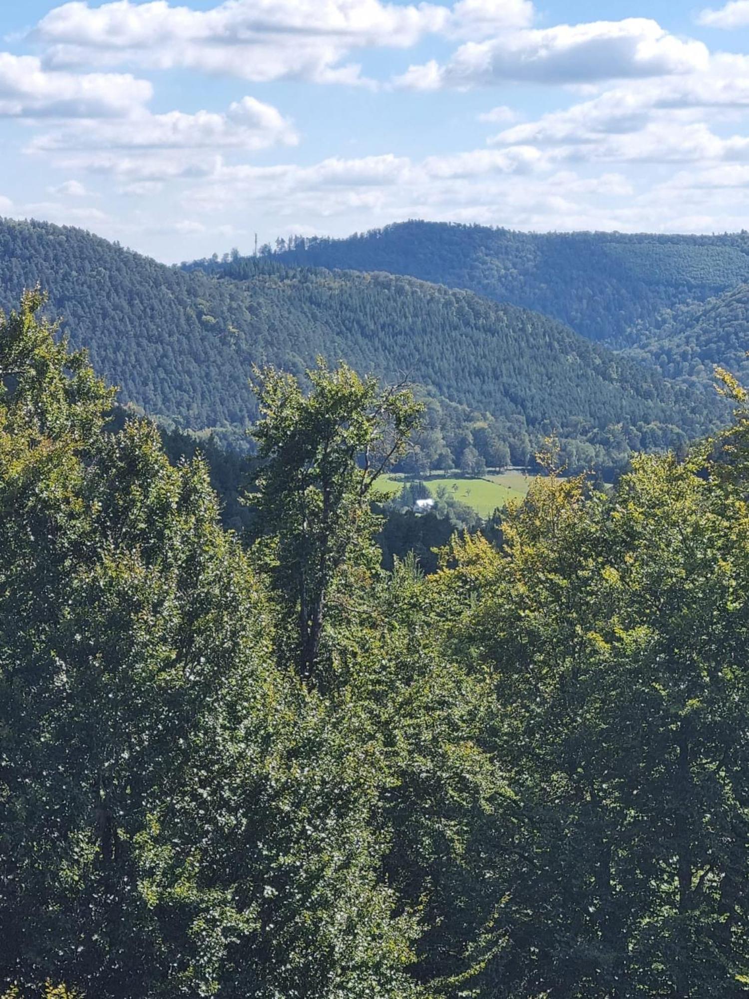 Вілла Le Wineck Dambach Екстер'єр фото