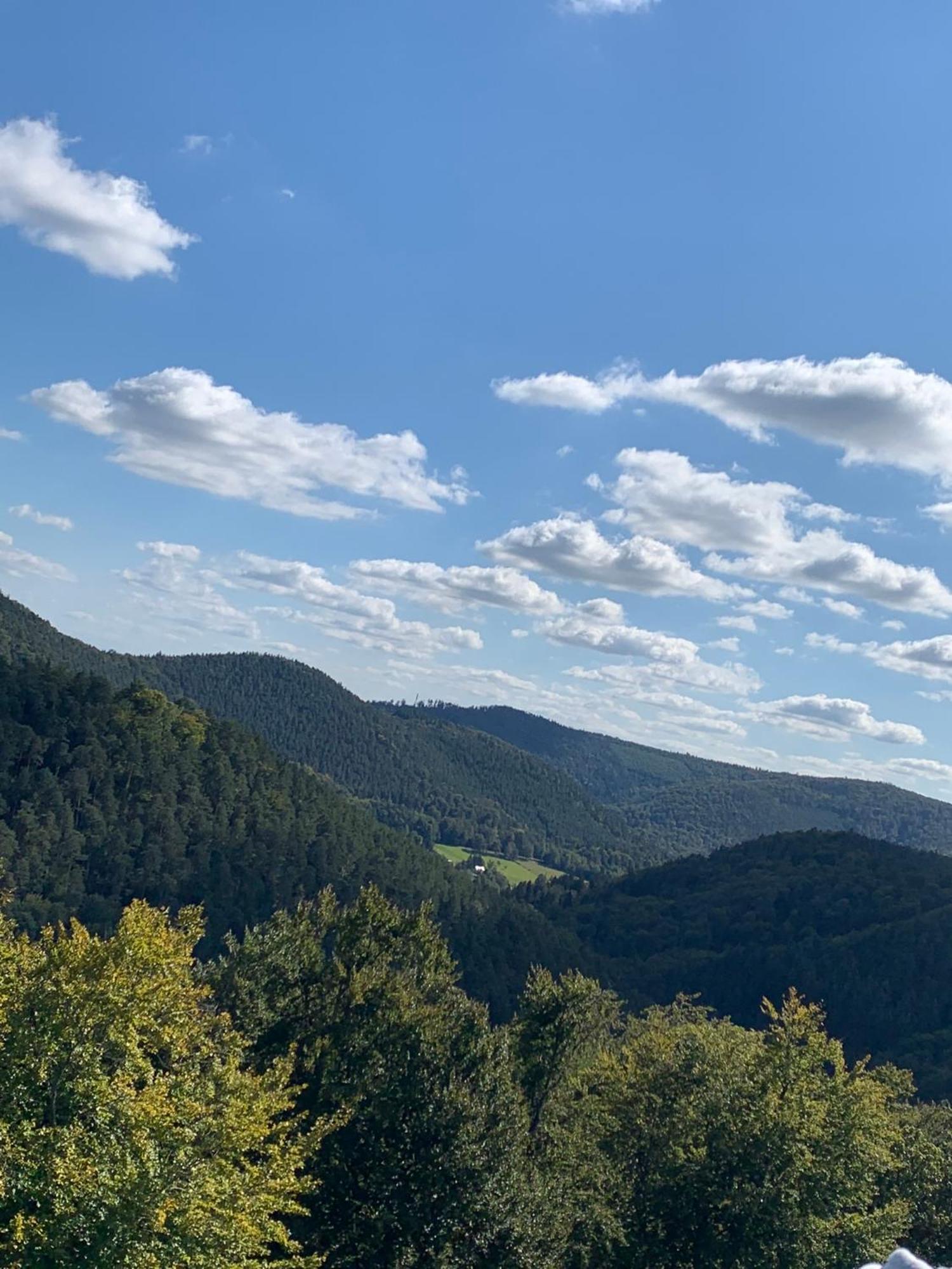 Вілла Le Wineck Dambach Екстер'єр фото