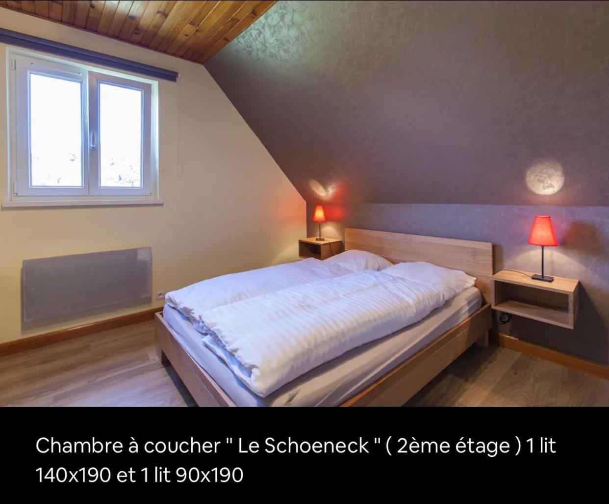 Вілла Le Wineck Dambach Екстер'єр фото