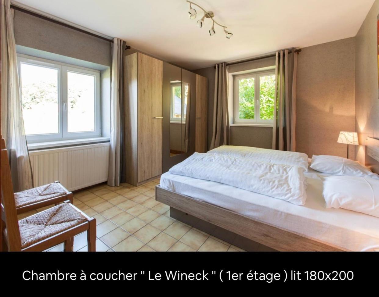 Вілла Le Wineck Dambach Екстер'єр фото