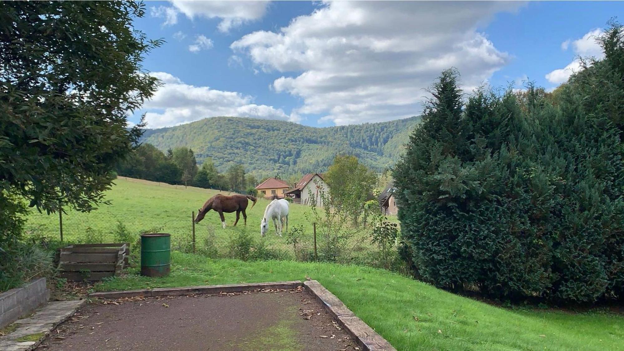 Вілла Le Wineck Dambach Екстер'єр фото