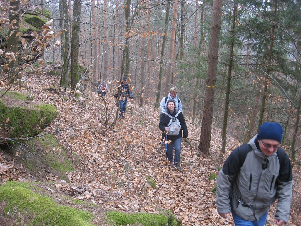 Вілла Le Wineck Dambach Екстер'єр фото