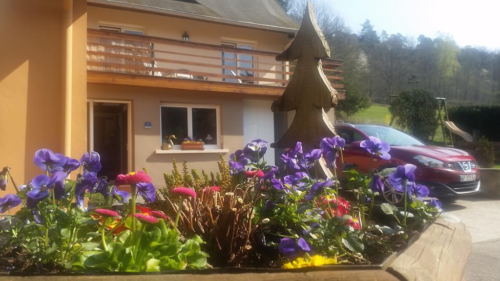 Вілла Le Wineck Dambach Екстер'єр фото