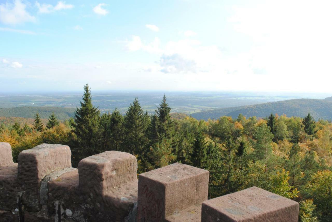 Вілла Le Wineck Dambach Екстер'єр фото